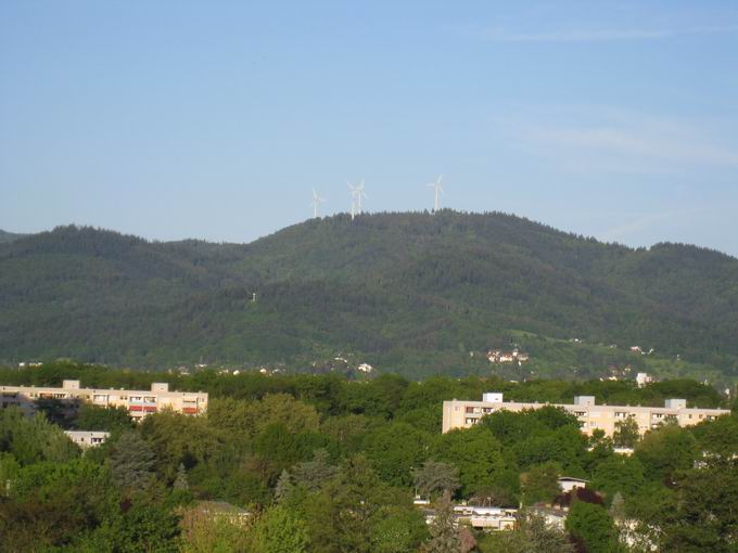 Lehener Bergle: Blick Rosskopf