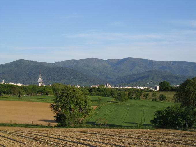 Lehener Bergle: Schauinsland