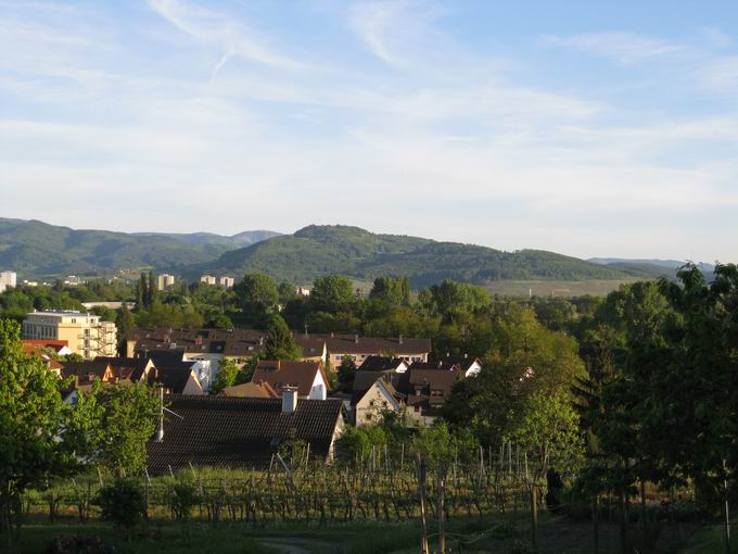 Lehener Bergle: Blick Schnberg