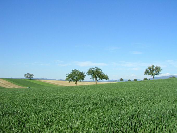 Marchhügel