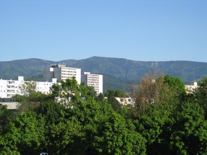 Mundenhofer Steg: Blick Schauinsland