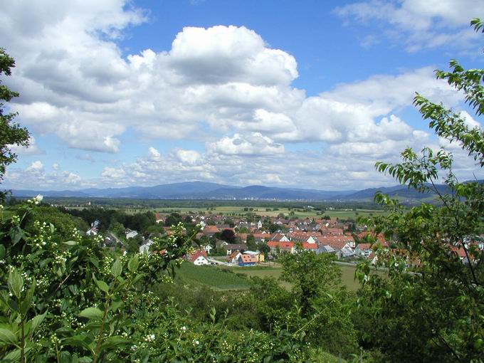 Munzingen am Tuniberg