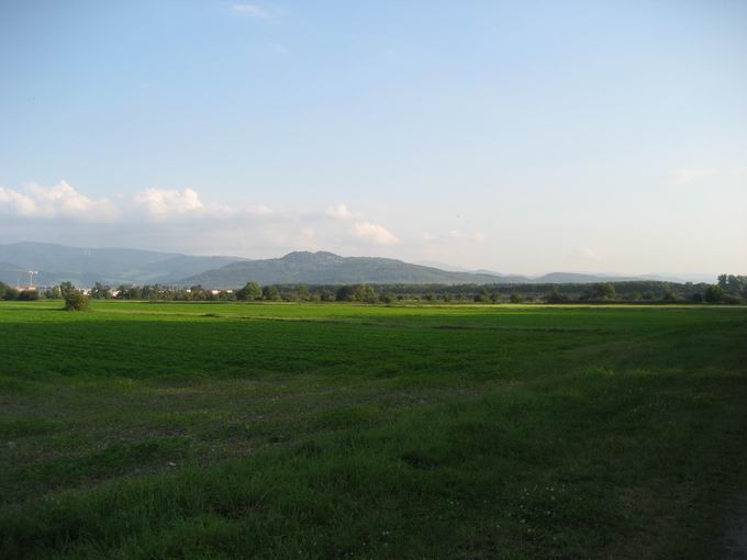 Naturschutzgebiet Freiburger Rieselfeld: Blick Schönberg