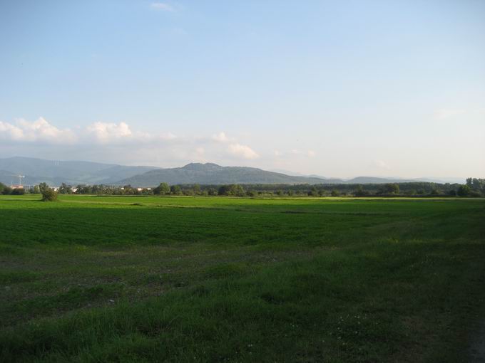 Naturschutzgebiet Freiburger Rieselfeld: Blick Schnberg