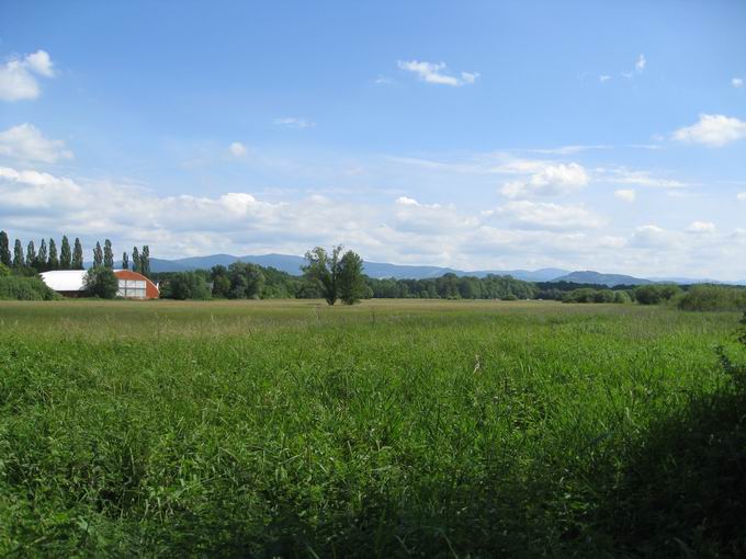 Naturschutzgebiet Mhlmatten