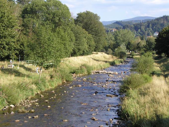 Nepomukbrcke Dreisam Ostblick