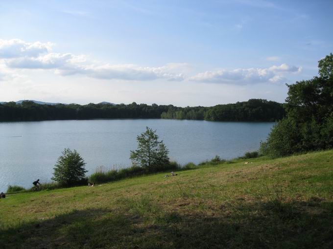 Opfinger See: stlicher Seeweg Blick Biotopzone