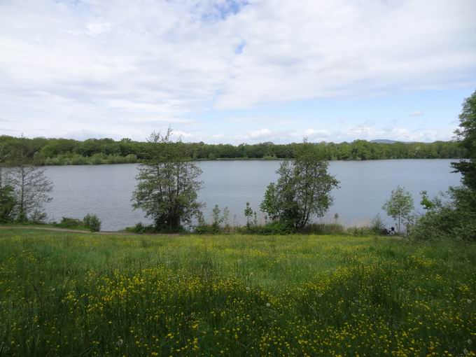 Opfinger See: stlicher Seeweg Blick Westblick