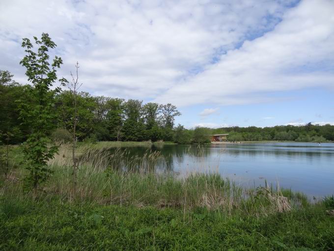 Opfinger Baggersee 