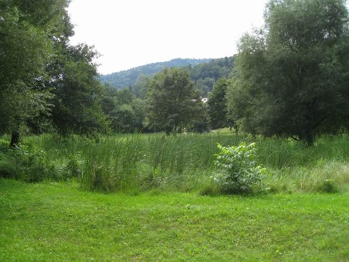 Pdagogische Hochschule Freiburg: Teich