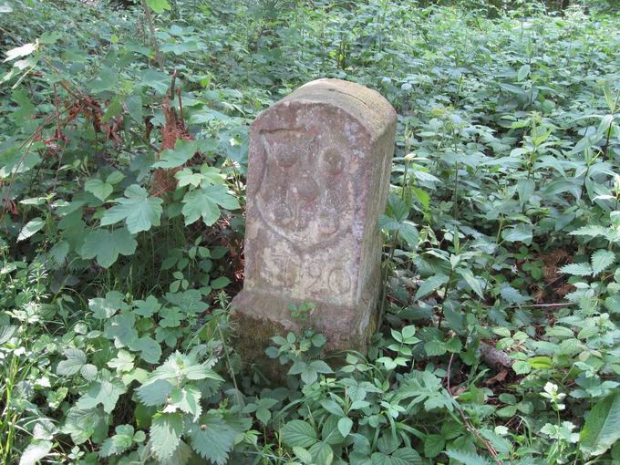 Grenzstein beim Rosskopf Freiburg