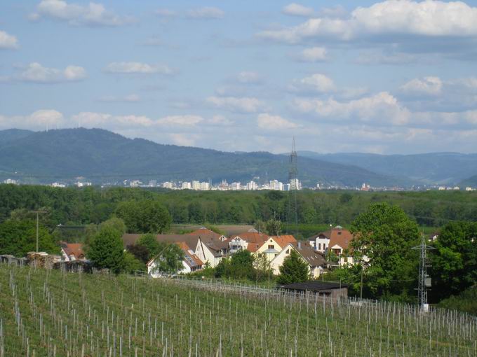 Rstlinberg: Blick Freiburg