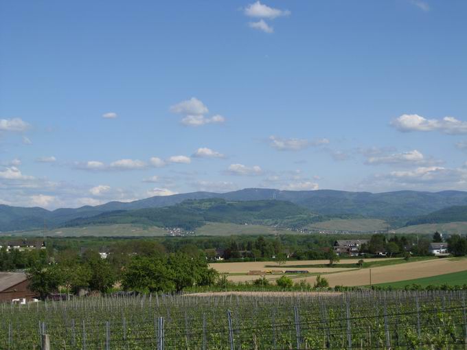 Schnberg im Breisgau