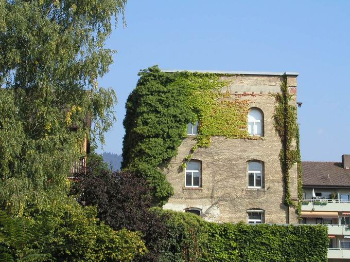 Schnzle-Brauerei in Herdern