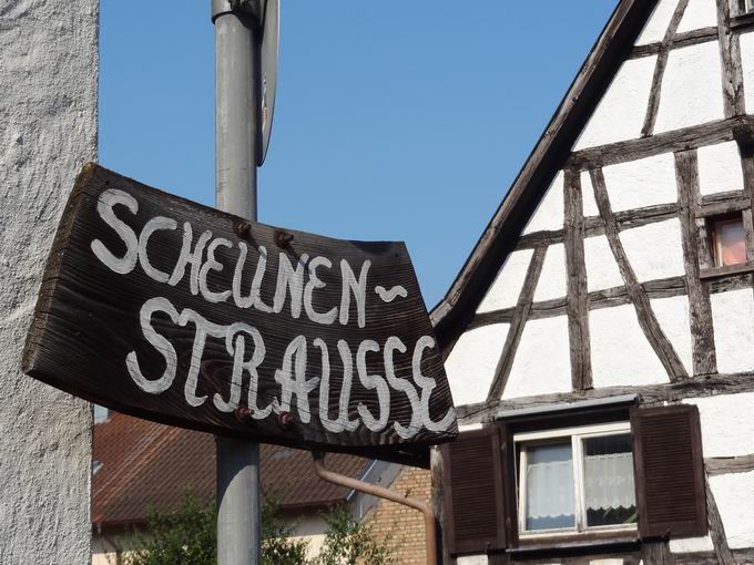 Scheunen-Straue Waltershofen