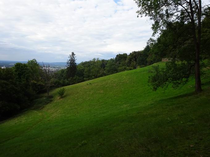 Kommandantengarten Freiburg: Wiese