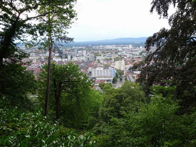 Schlossberg Freiburg