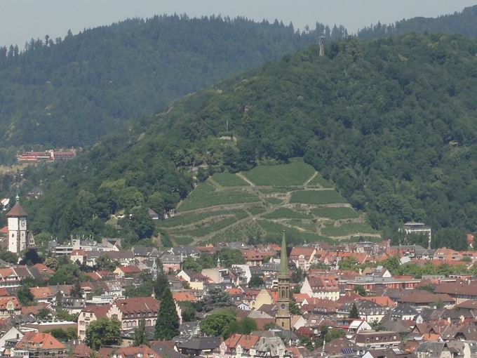 Weinlage Schlossberg Freiburg