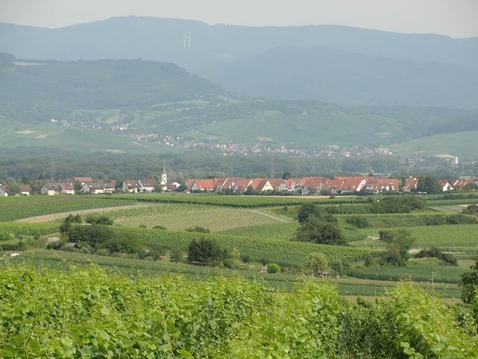 Schneckenberg: Blick Tiengen