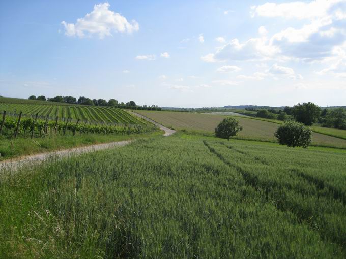 Schnberg im Tuniberg