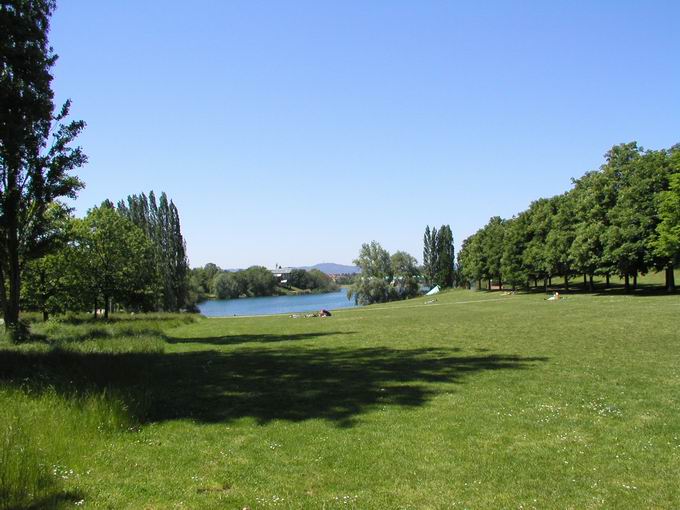 Liegewiese Rosengarten Seepark Freiburg