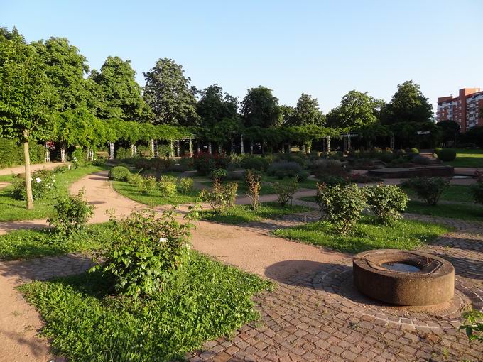 Rosengarten Seepark Freiburg