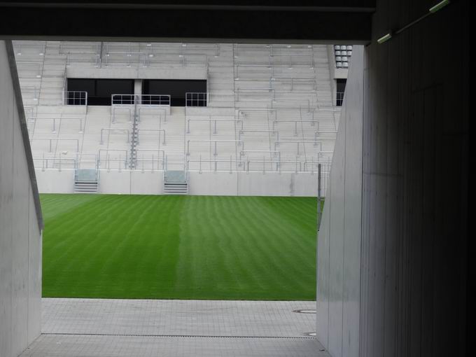 Stadion Sport-Club Freiburg: Naturrasen