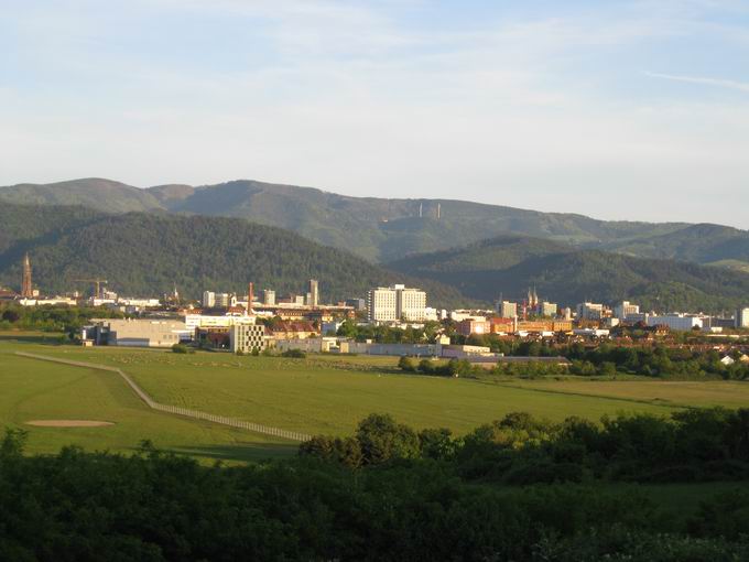 Stadion Sport-Club Freiburg: Landschaft vor Baubeginn