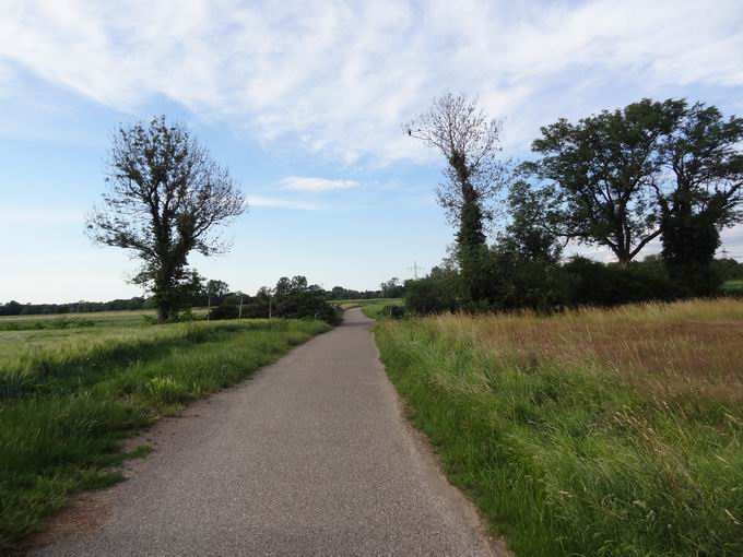 Sport vor Ort Rieselfeld: Nordblick Dietenbachniederung