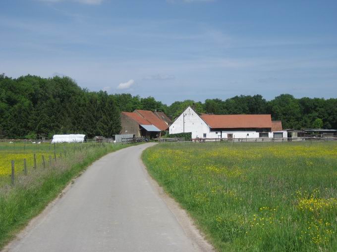 Strauenwirtschaft Weingut Schlatthof