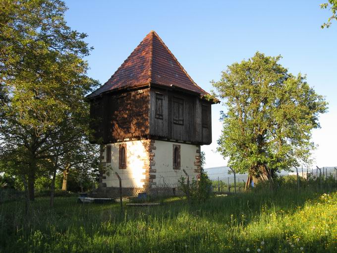 Lehener Berg: Trmle