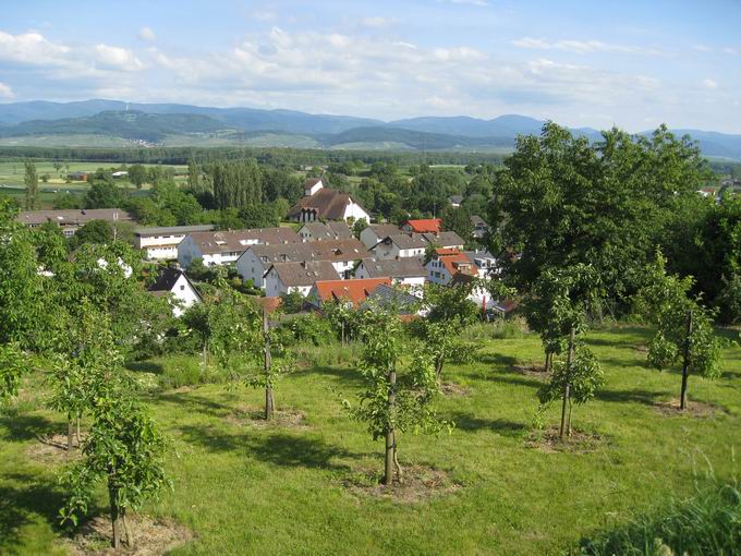 Unterdorf Opfingen