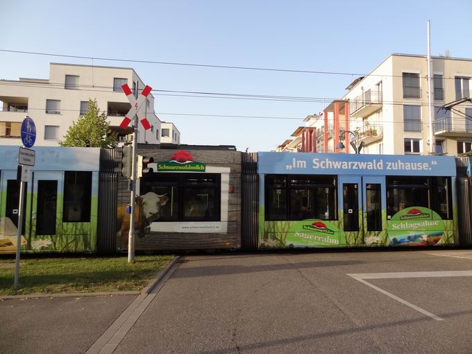 Vaubanallee Freiburg: Straenbahn