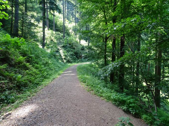 Waldtraut vom Mhlwald: Mhlwaldweg