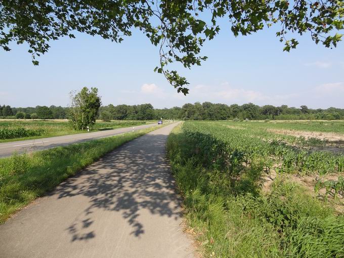 Straße Waltershofen-Umkirch