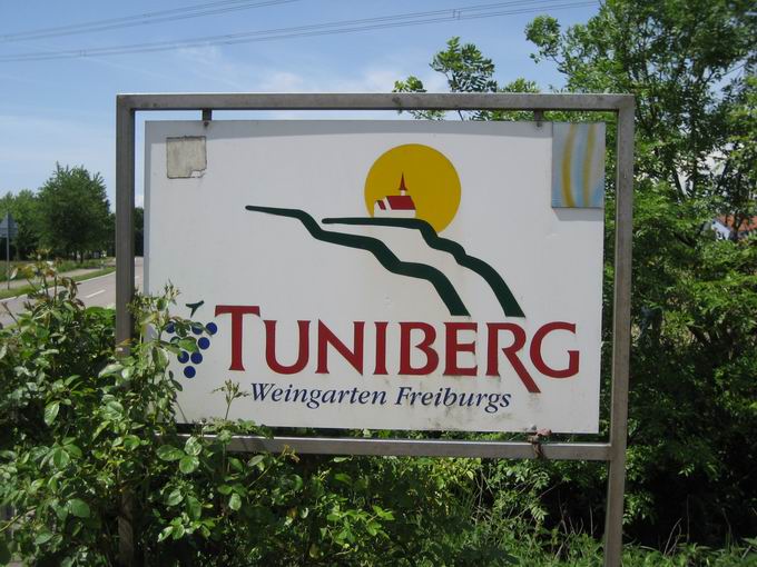 Tuniberg Weingarten Freiburgs