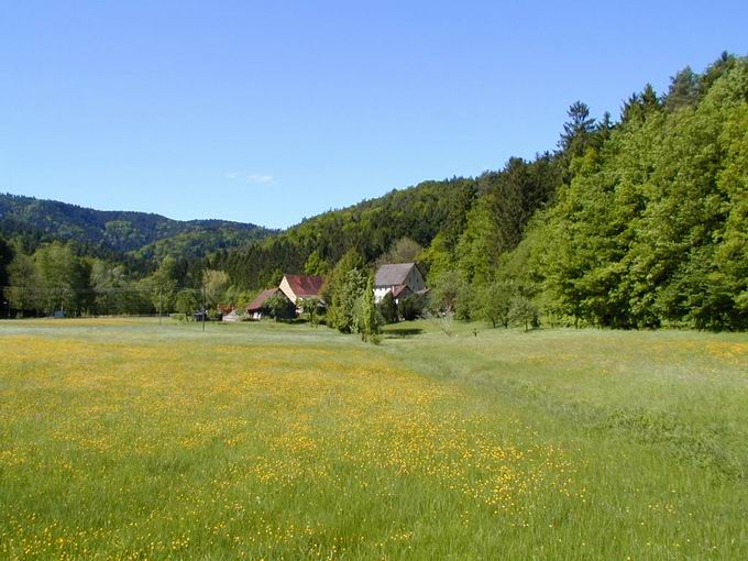 Freiburg-Ebnet