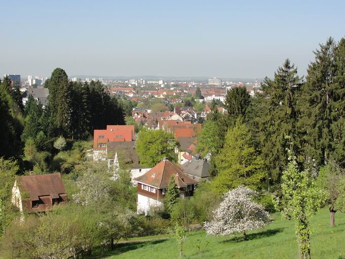 Wintererstrae Freiburg: Blick Herdern