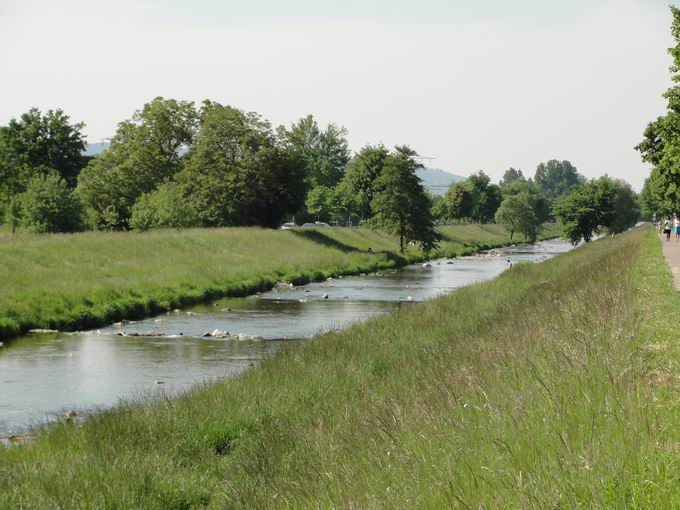 Ziegelhofstrae: Dreisam