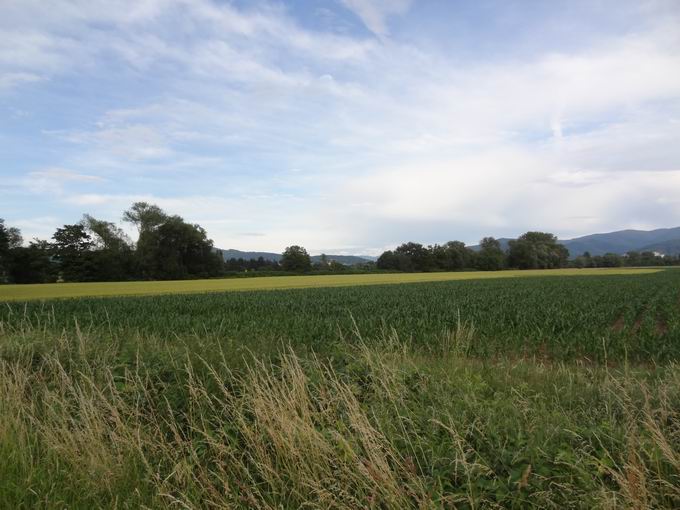 Dietenbachniederung Freiburg