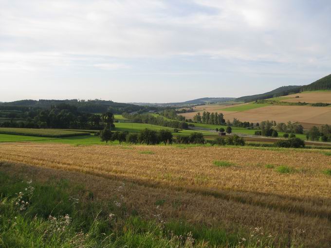 Wartenberg (844m): Unterbaldingen