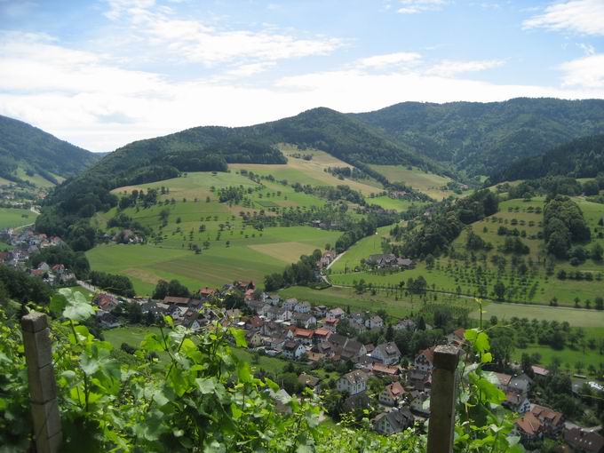 Eichberg Glottertal: Blick Ahlenbachtal Eichberg Glottertal: Blick Ahlenbachtal