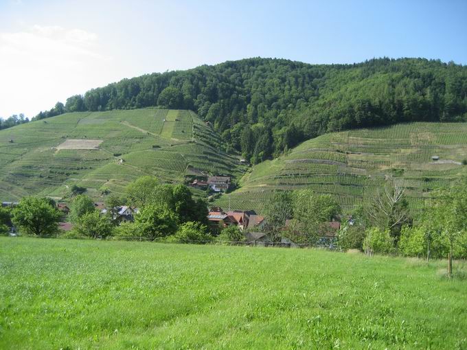 Zur Gro�ansicht von  Gasthaus Pension Eichberg Glottertal