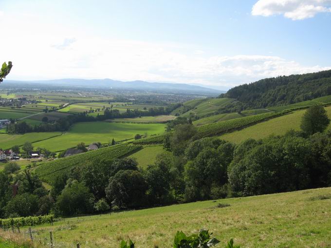 Schlossbühl Glottertal: Blick Denzlingen Schlossbühl Glottertal: Blick Denzlingen