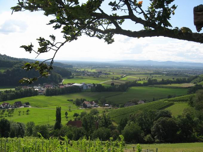 Schlossbühl Glottertal: Blick Heuweiler Schlossbühl Glottertal: Blick Heuweiler
