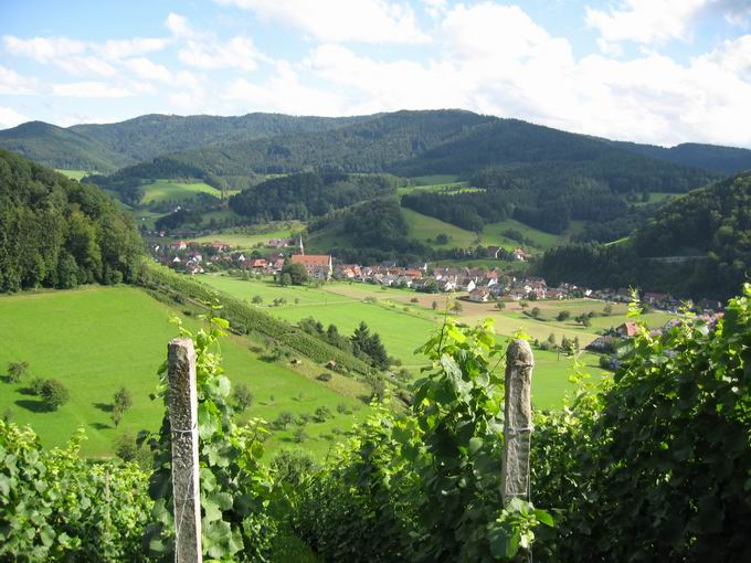 Schlossdobel Glottertal: Blick Blasiuskirche Glottertal