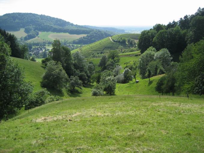 Schlossdobel Glottertal: Ostansicht Schlossdobel Glottertal: Ostansicht