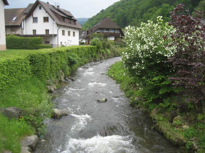 Unter der Wiggisbruck: Glotter