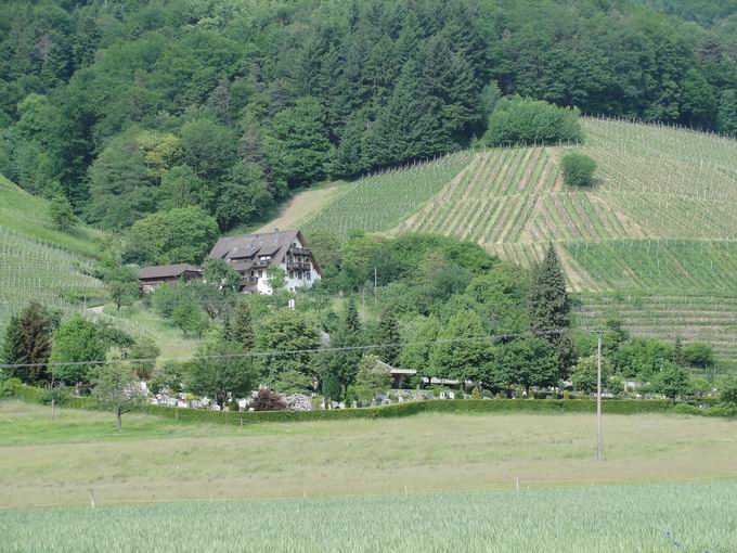 Hönningergütle Glottertal Hönningergütle Glottertal