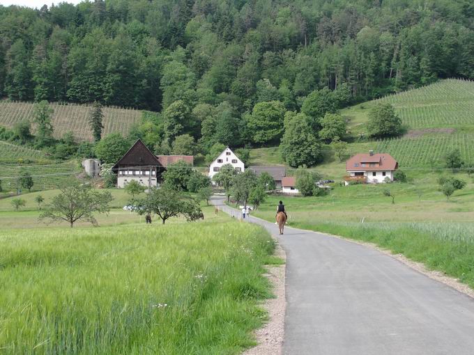Lindingerhof in Unterglottertal: Südansicht Lindingerhof in Unterglottertal: Südansicht